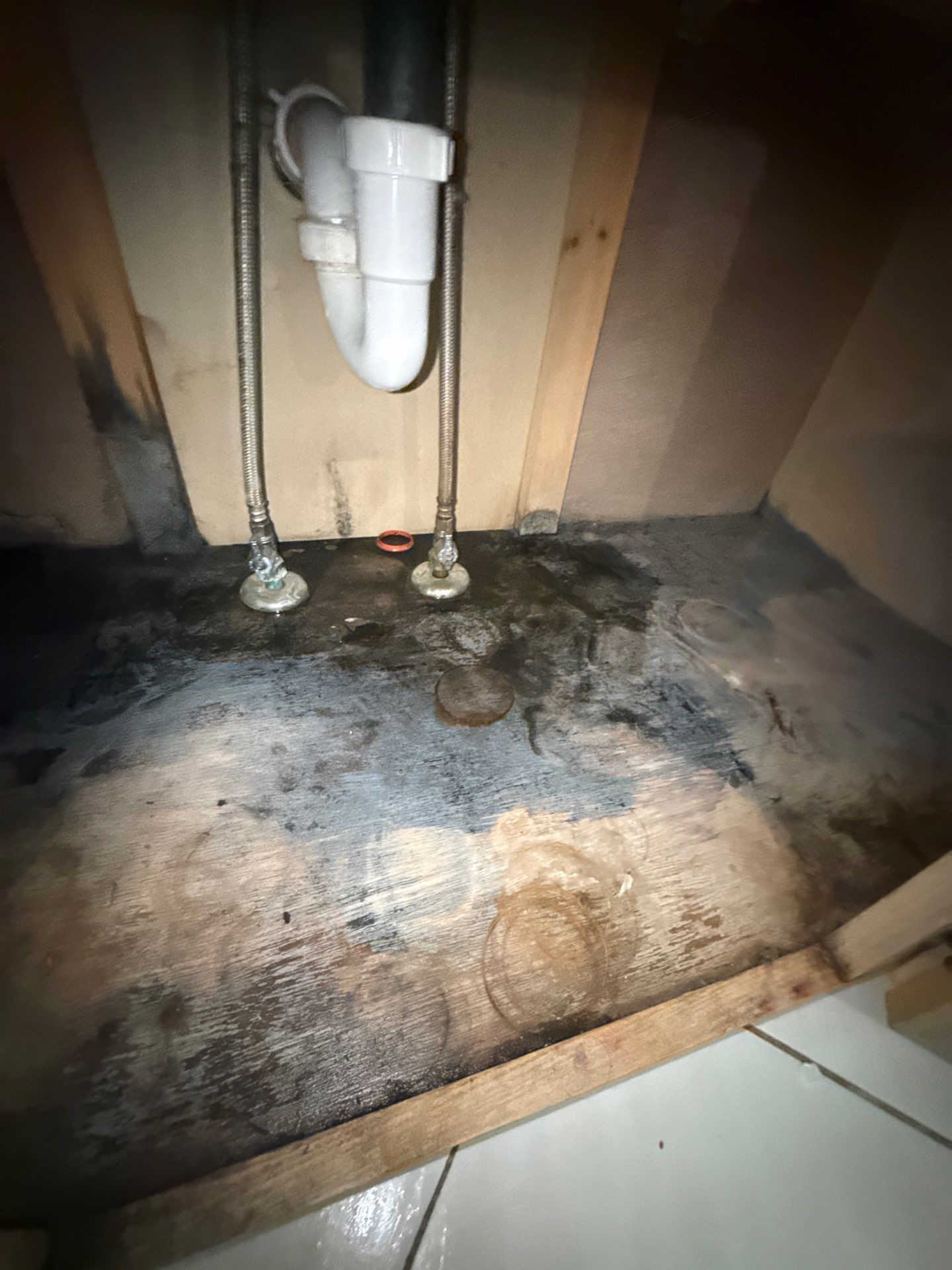 Sewer & Drain Services Near Me